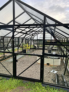 Glass house