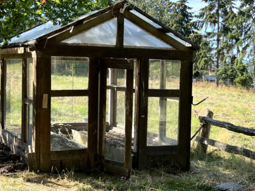 Greenhouse after