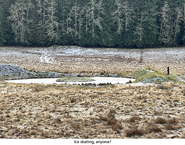 Sequim