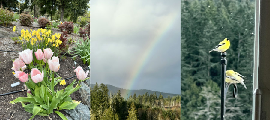 Sequim May 4