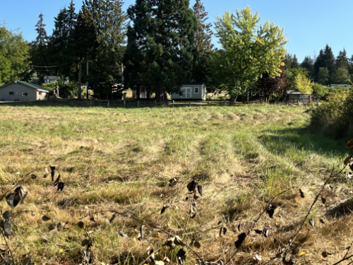 The Whole View